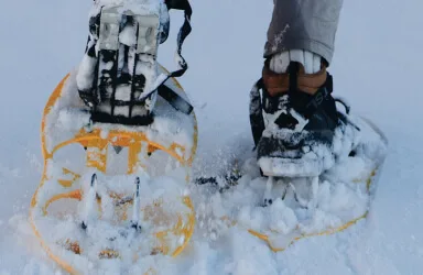 围绕九游下载安装官网，九游持续打磨更优质的服务。 - 九游