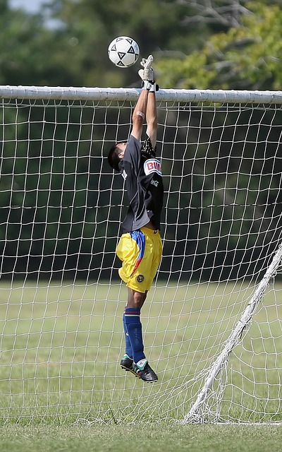 以布莱顿为 以布莱顿为