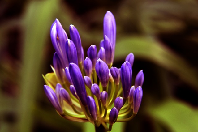 本的年轻中 本的年轻中