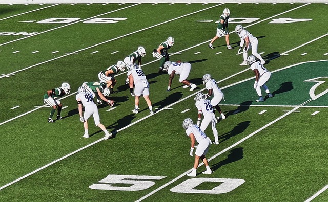 主席的回应 主席的回应