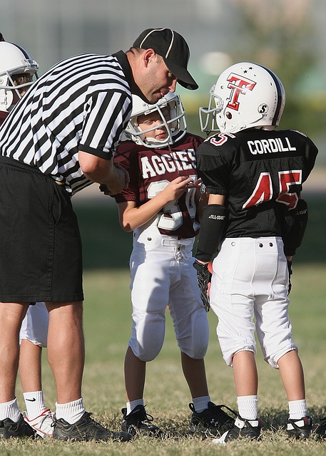 荷兰的四分 荷兰的四分