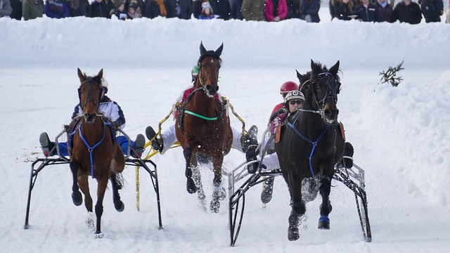 仅仅是简单 仅仅是简单