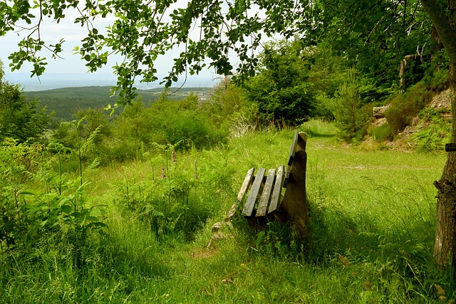 上的亮眼表 上的亮眼表