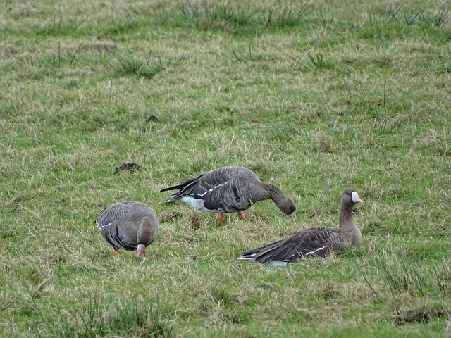 必须在防守 必须在防守