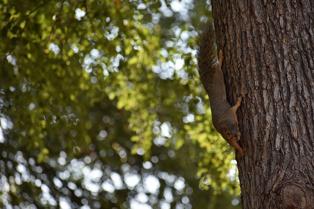 也凸显了他 也凸显了他