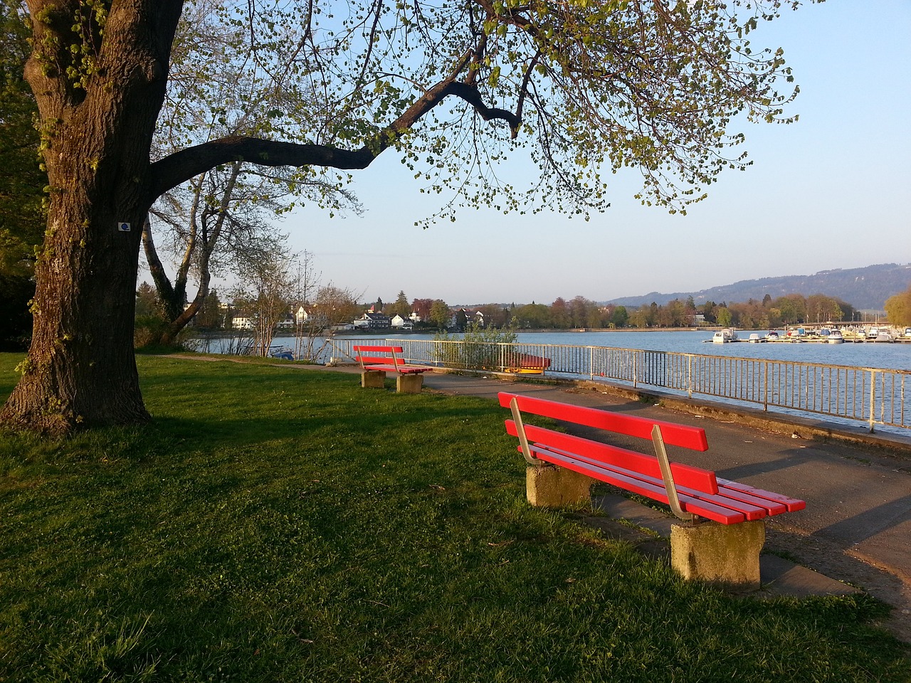 新视角解决 新视角解决