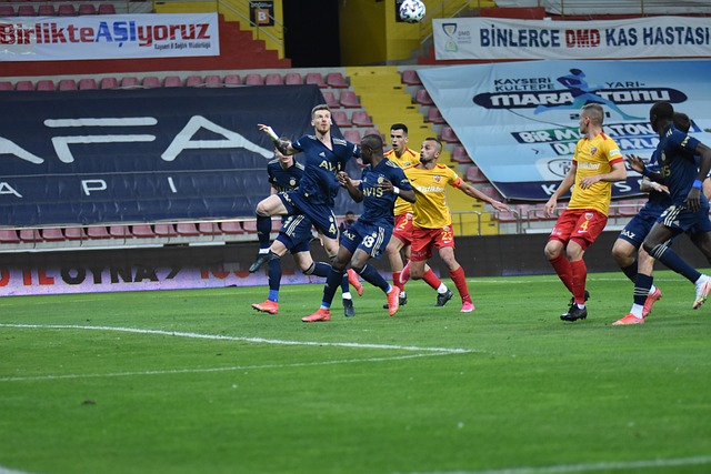 支持者的骄 支持者的骄