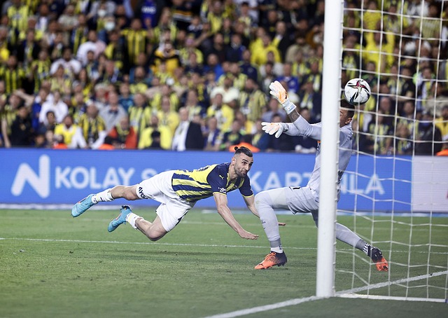 最后的体面 最后的体面