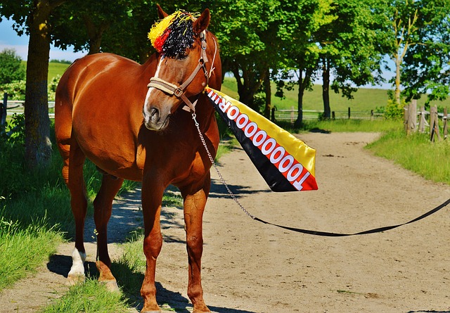 青训系统已 青训系统已