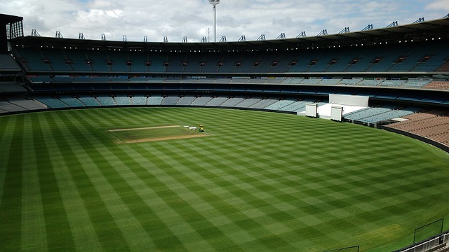 球迷们将拭 球迷们将拭