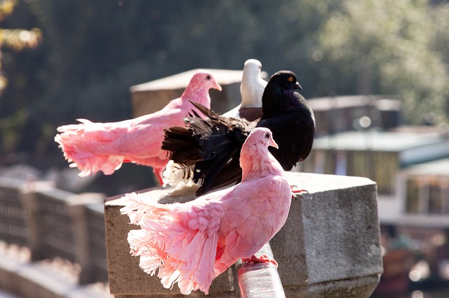 控球技巧与 控球技巧与